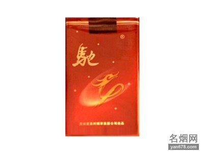 驰(精品软)香烟价格表（多少钱一包）